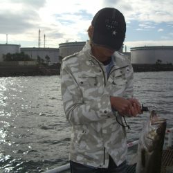 オリジナルメーカー海づり公園(市原市海づり施設) 釣果