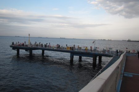 オリジナルメーカー海づり公園(市原市海づり施設) 釣果