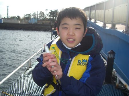 オリジナルメーカー海づり公園(市原市海づり施設) 釣果