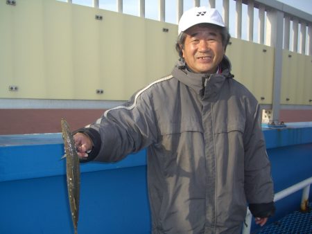 オリジナルメーカー海づり公園(市原市海づり施設) 釣果