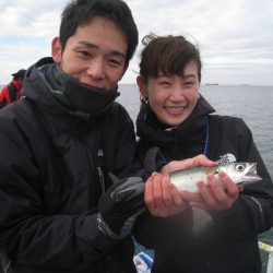 オリジナルメーカー海づり公園(市原市海づり施設) 釣果