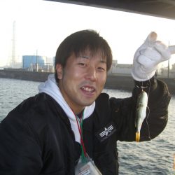 オリジナルメーカー海づり公園(市原市海づり施設) 釣果