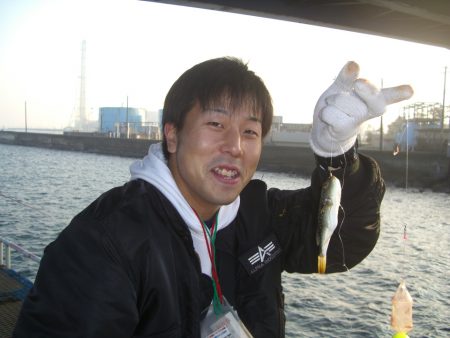 オリジナルメーカー海づり公園(市原市海づり施設) 釣果