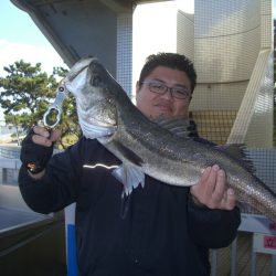 オリジナルメーカー海づり公園(市原市海づり施設) 釣果