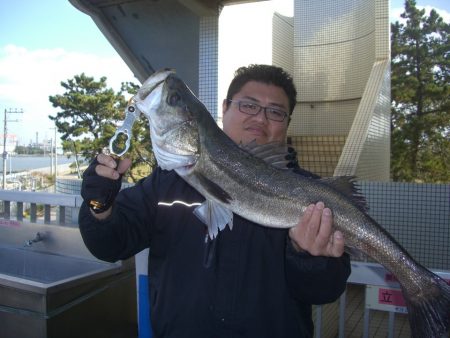 オリジナルメーカー海づり公園(市原市海づり施設) 釣果
