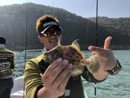 Magic（マジック） 釣果