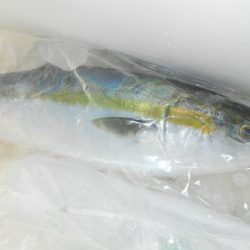 こうゆう丸 釣果
