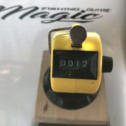 Magic(マジック) 釣果