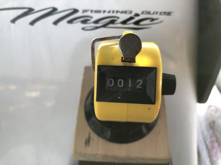 Magic(マジック) 釣果