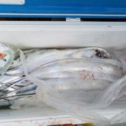 遊漁船 ニライカナイ 釣果