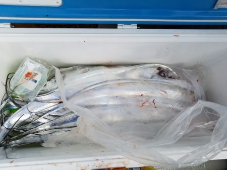 遊漁船 ニライカナイ 釣果