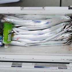 遊漁船　ニライカナイ 釣果