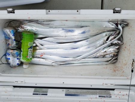 遊漁船　ニライカナイ 釣果