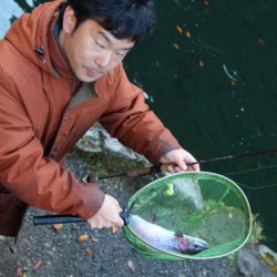 小菅トラウトガーデン 釣果