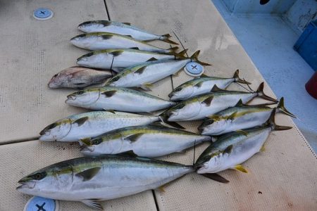 宝生丸 釣果