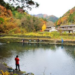 小菅トラウトガーデン 釣果