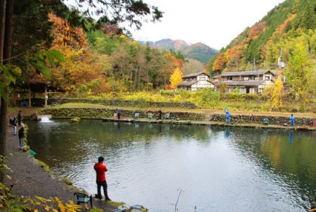 小菅トラウトガーデン 釣果
