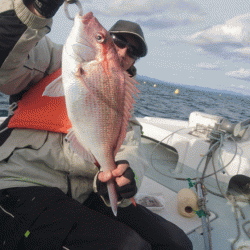 遊漁船ブルーウッズ 釣果