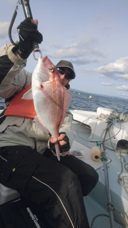 遊漁船ブルーウッズ 釣果