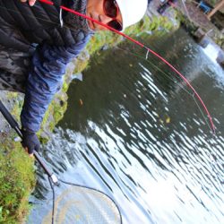 小菅トラウトガーデン 釣果