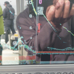 遊漁船ブルーウッズ 釣果