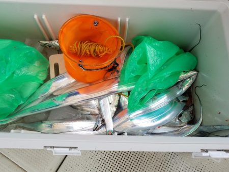 遊漁船　ニライカナイ 釣果