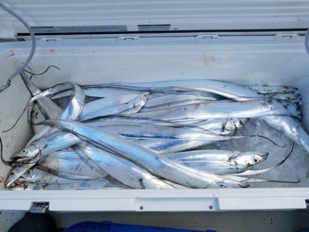 遊漁船 ニライカナイ 釣果