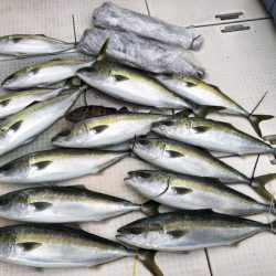 ふじしめ丸 釣果