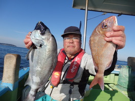 久里浜黒川本家 釣果