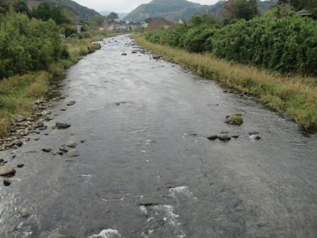 狩野川(狩野川漁業協同組合) 釣果