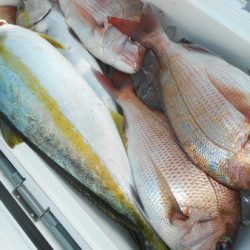 こうゆう丸 釣果