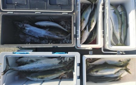 気仙沼　つり丸 釣果