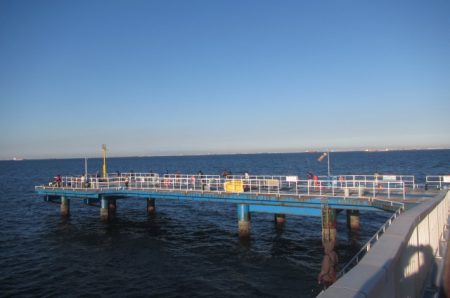 オリジナルメーカー海づり公園(市原市海づり施設) 釣果