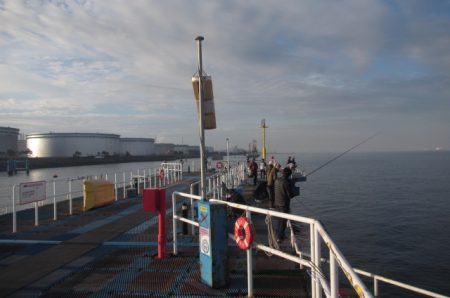 オリジナルメーカー海づり公園(市原市海づり施設) 釣果