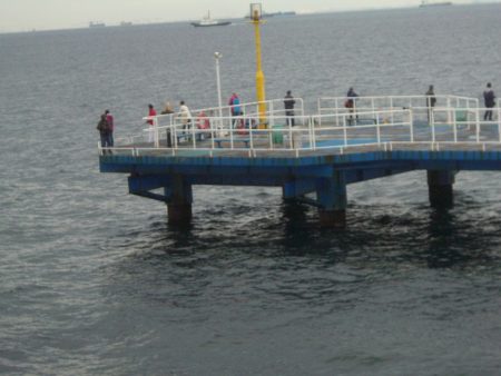 オリジナルメーカー海づり公園(市原市海づり施設) 釣果