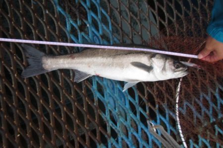 オリジナルメーカー海づり公園(市原市海づり…