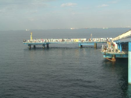 オリジナルメーカー海づり公園(市原市海づり施設) 釣果