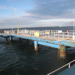 オリジナルメーカー海づり公園(市原市海づり施設) 釣果