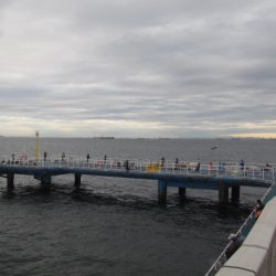 オリジナルメーカー海づり公園(市原市海づり施設) 釣果