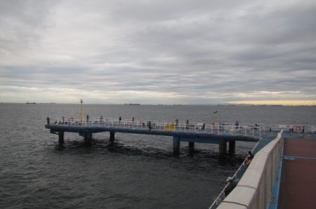 オリジナルメーカー海づり公園(市原市海づり施設) 釣果