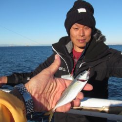 オリジナルメーカー海づり公園(市原市海づり施設) 釣果