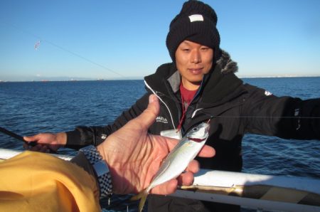 オリジナルメーカー海づり公園(市原市海づり施設) 釣果