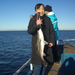 オリジナルメーカー海づり公園(市原市海づり施設) 釣果