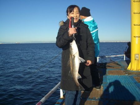 オリジナルメーカー海づり公園(市原市海づり施設) 釣果