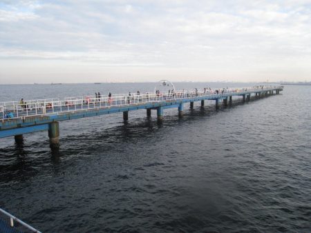 オリジナルメーカー海づり公園(市原市海づり…
