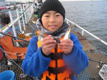 オリジナルメーカー海づり公園(市原市海づり施設) 釣果