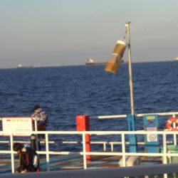 オリジナルメーカー海づり公園(市原市海づり施設) 釣果