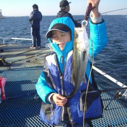 オリジナルメーカー海づり公園(市原市海づり施設) 釣果
