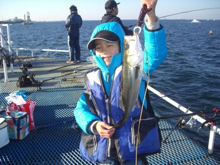 オリジナルメーカー海づり公園(市原市海づり施設) 釣果