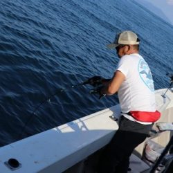 スカイマリン 釣果